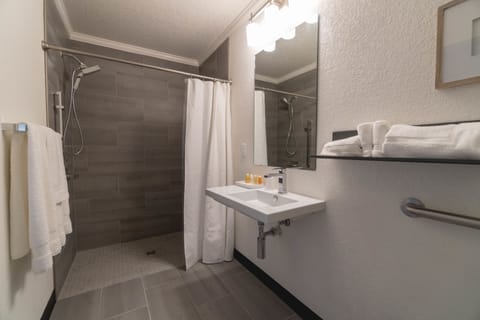 Studio, 1 King Bed, Accessible, Lake View | Bathroom | Shower, free toiletries, towels