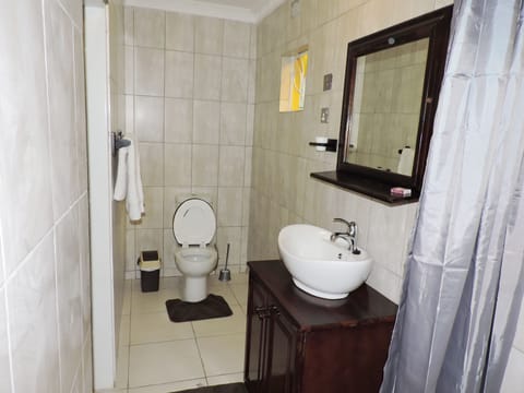 Deluxe Suite | Bathroom | Free toiletries, towels