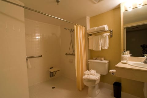 Suite, 1 King Bed, Accessible (Roll-in Shower) | Bathroom | Shower, free toiletries, hair dryer, towels