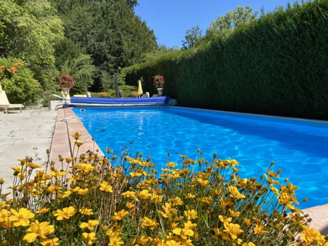 Seasonal outdoor pool, pool umbrellas, sun loungers