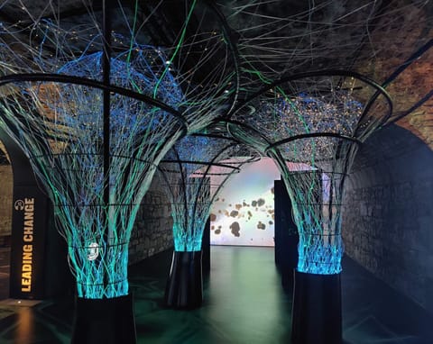 Land view from property