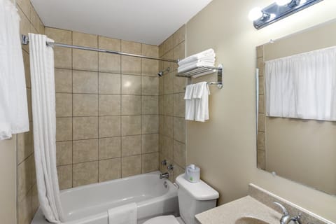 Combined shower/tub, free toiletries, hair dryer, towels