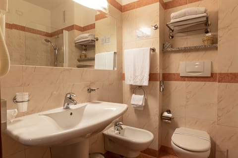 Combined shower/tub, hair dryer, bidet, towels