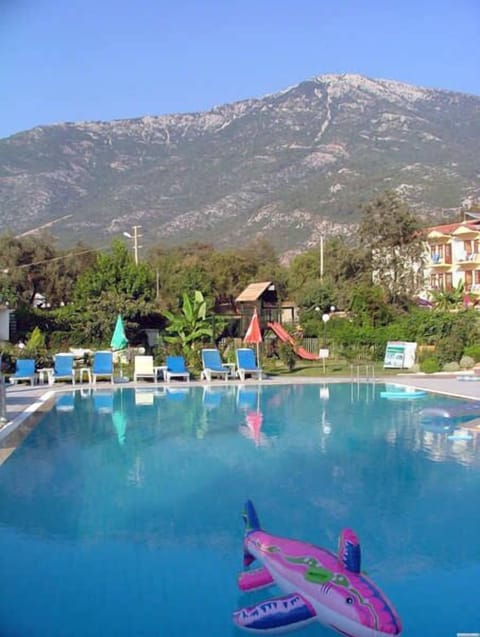 Outdoor pool, open 8:00 AM to 8:30 PM, sun loungers