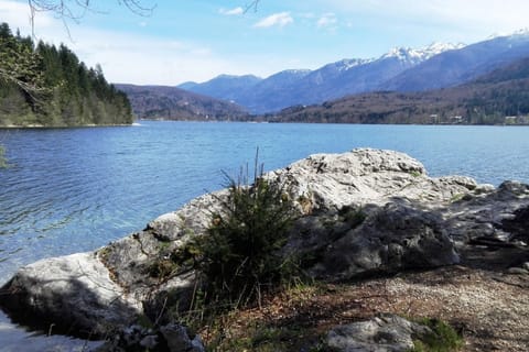 Lake Bohinj