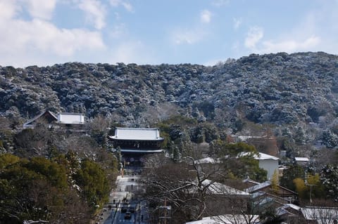 Japanese Tatami Room | Hill view