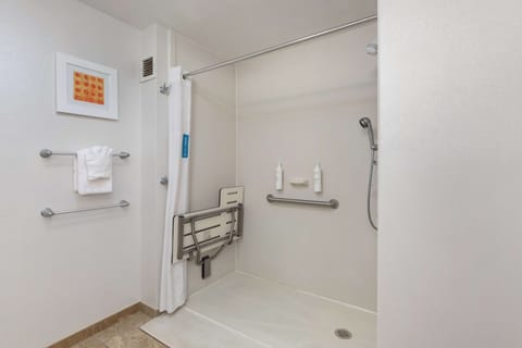 Room, Accessible, Non Smoking | Bathroom shower