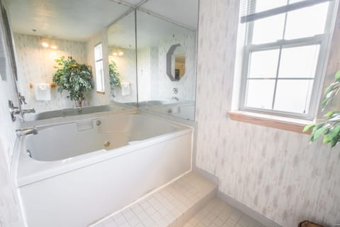 Combined shower/tub, free toiletries, hair dryer, towels