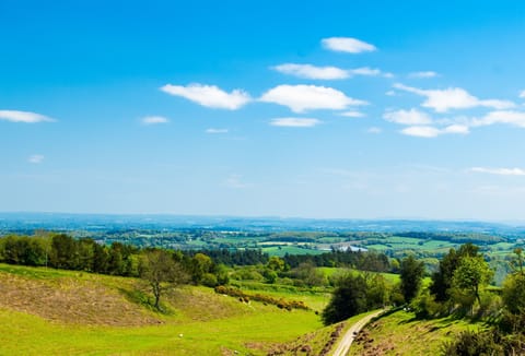 Stunning views, walk from Kington to Hergest Ridge, along Offa's Dyke Path