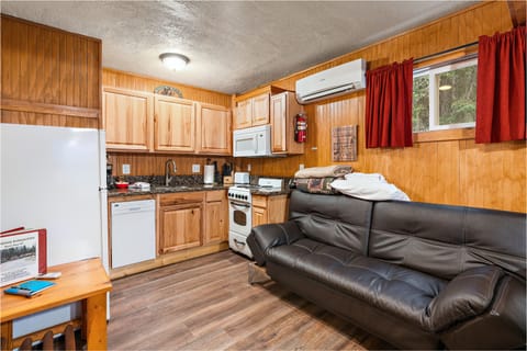 Black bear bungalow | Living area | 32-inch flat-screen TV with cable channels, TV, fireplace