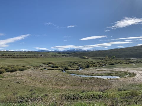 View from the back porch 