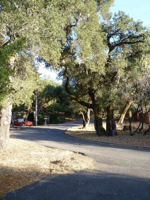 Private road is very well maintained.