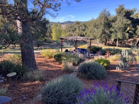 Wildlife parade in meadow surrounded by views, forest, & vibes (VRPermit 111596)