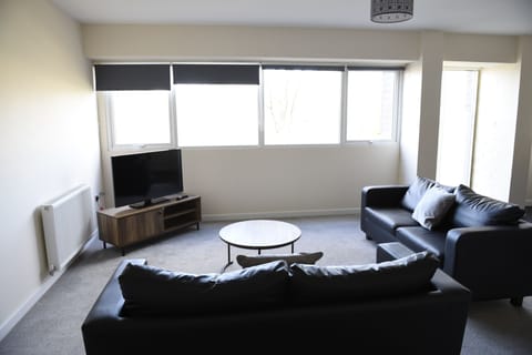 City Apartment, 2 Bedrooms (29) | Living area | Flat-screen TV, Netflix