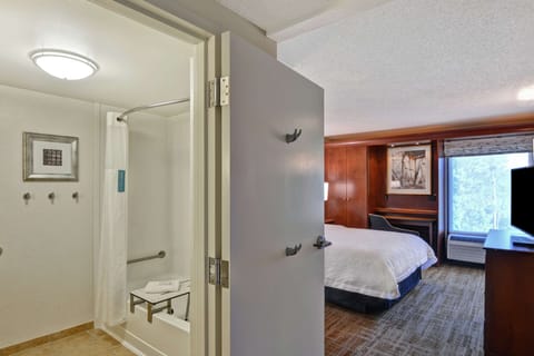 Room, 1 Queen Bed, Accessible, Bathtub | Bathroom | Free toiletries, hair dryer, bathrobes, towels