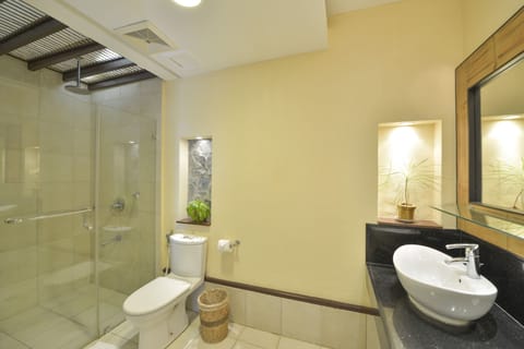 Premier Suite | Bathroom | Shower, rainfall showerhead, free toiletries, hair dryer