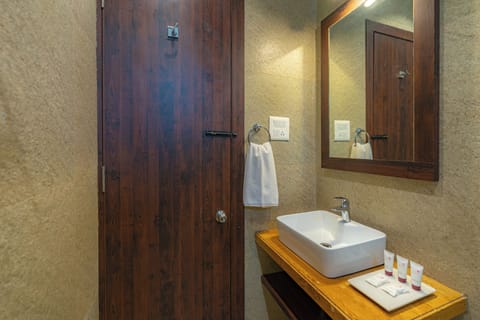 Premium Room | Bathroom | Shower, rainfall showerhead, free toiletries, hair dryer