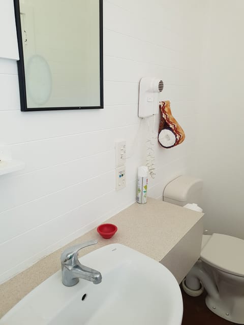 Studio, 1 Queen Bed, Ocean View | Bathroom | Shower, free toiletries, hair dryer, towels