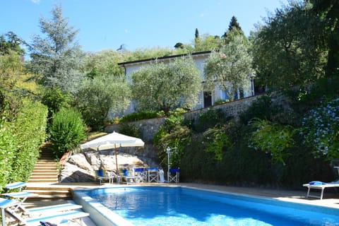 the pool 