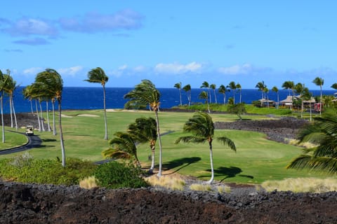 Great view from either Lanai!.
