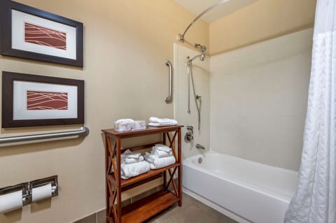 Combined shower/tub, free toiletries, hair dryer, towels