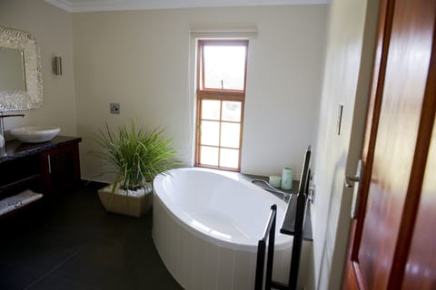 Superior Double or Twin Room | Bathroom | Shower, rainfall showerhead, free toiletries, hair dryer