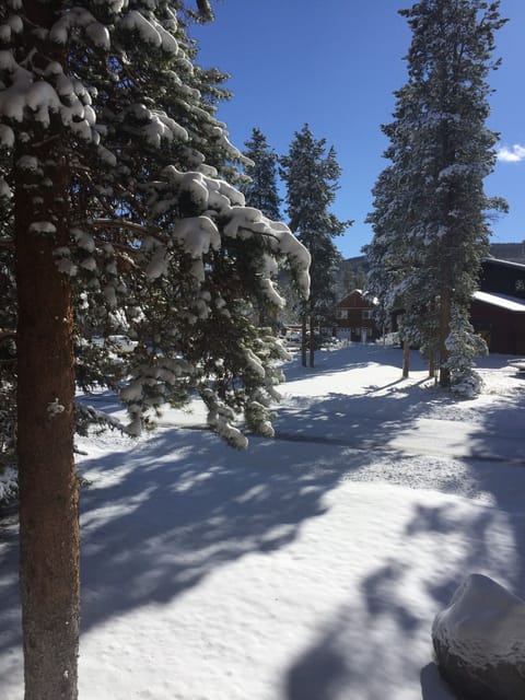 View south from deck