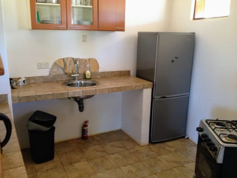 Deluxe Apartment, 2 Bedrooms, Garden View | Private kitchen