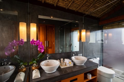 Deluxe Villa | Bathroom | Shower, rainfall showerhead, free toiletries, hair dryer