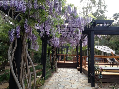 Front yard form Guest cottage