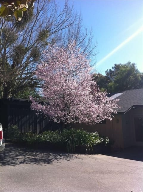 Guest cottage entrance