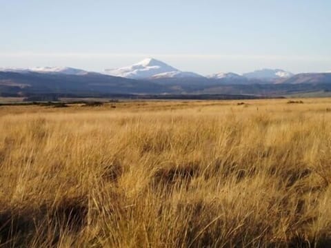 Kippen muir - a walk near the cottage