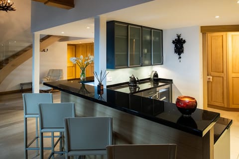 Penthouse (Contemporary) | Private kitchen | Fridge