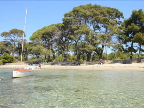 Beach nearby, windsurfing