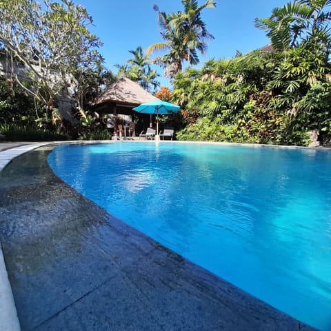 Outdoor pool, pool umbrellas, sun loungers