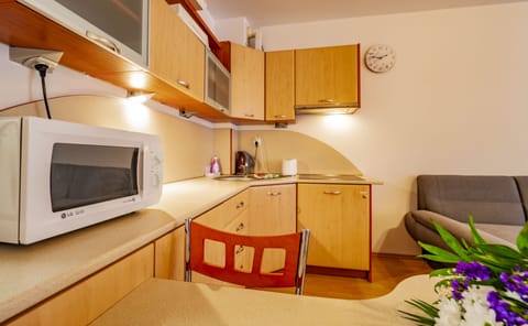 Traditional Apartment | Private kitchen | Fridge, microwave, stovetop, dishwasher