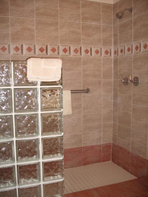 Combined shower/tub, free toiletries, hair dryer, towels