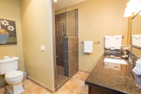 Standard Room, 1 King Bed, River View (River Room) | Bathroom | Shower, rainfall showerhead, designer toiletries, hair dryer