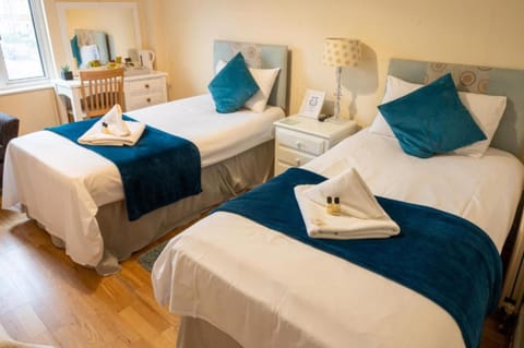 Standard Twin Room, 2 Twin Beds | Desk, iron/ironing board, rollaway beds, free WiFi