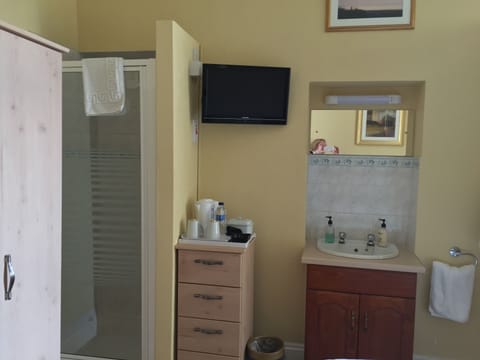 Standard Double Room Single Use (partially open bathroom) | Bathroom | Free toiletries, hair dryer, bidet, towels