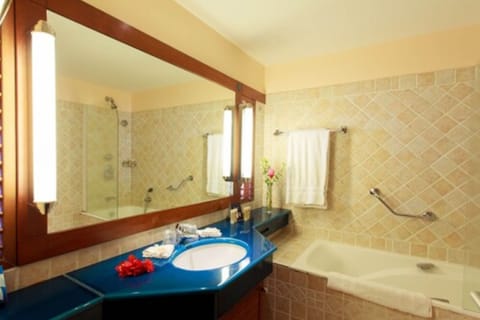 Deluxe Double Room | Bathroom | Free toiletries, hair dryer, bathrobes, towels
