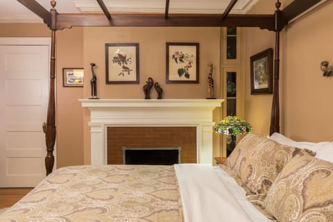 Deluxe Room, 1 King Bed, Fireplace | Street view