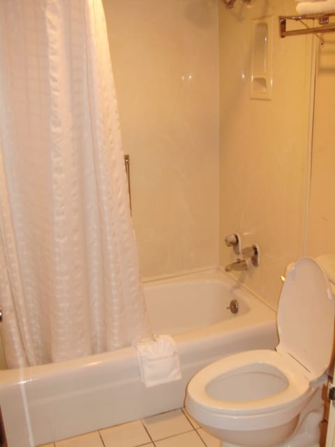 Combined shower/tub, free toiletries, hair dryer, towels