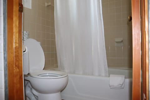Room, 1 Queen Bed | Bathroom | Combined shower/tub, deep soaking tub, free toiletries, hair dryer