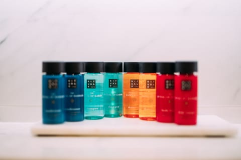 Deluxe Double Room | Bathroom | Separate tub and shower, hair dryer, towels, soap