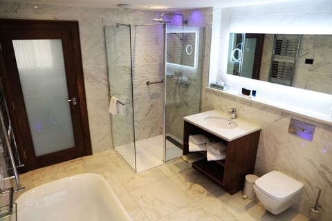 Deluxe Double Room | Bathroom | Separate tub and shower, hair dryer, towels, soap