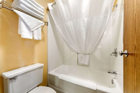 Combined shower/tub, free toiletries, hair dryer, towels