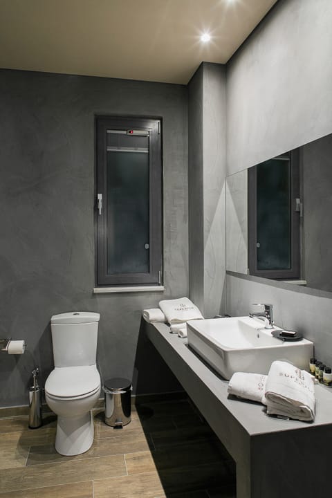 Junior Suite | Bathroom | Shower, rainfall showerhead, designer toiletries, hair dryer