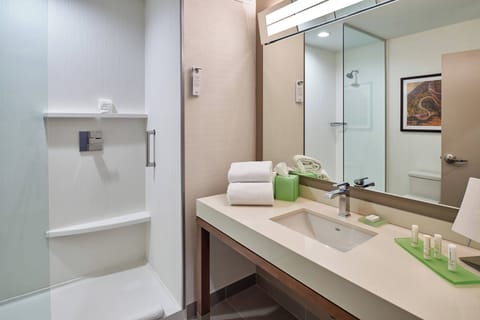 Suite, 1 Bedroom | Bathroom | Shower, free toiletries, hair dryer, bathrobes