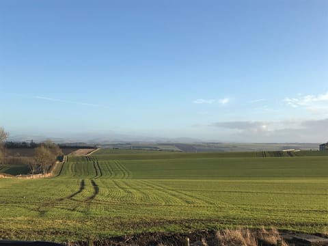 The view form the front